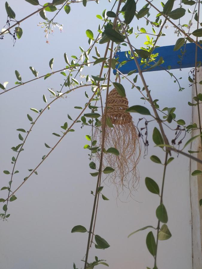 Appartement Dar Janis Djerba دار يانيس جربة à Houmt Souk  Chambre photo