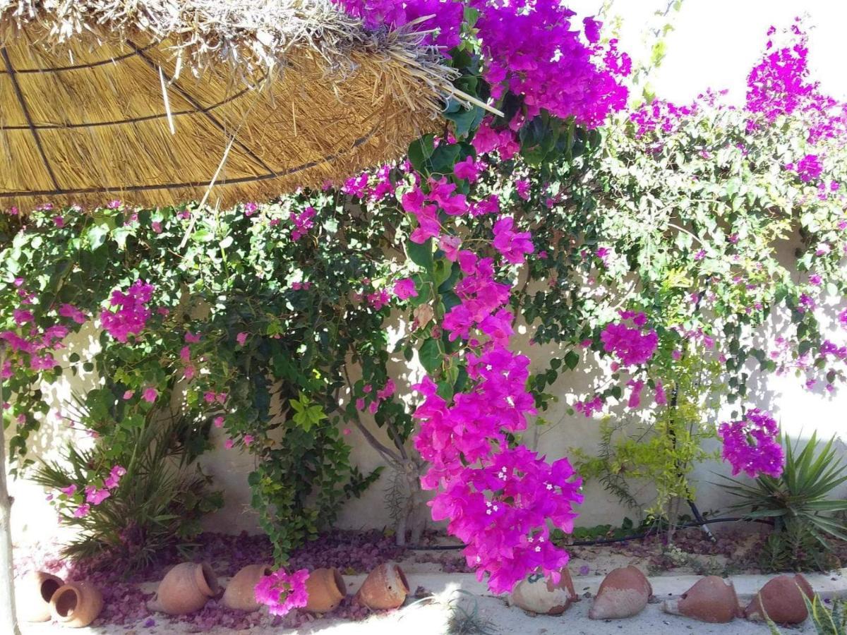 Appartement Dar Janis Djerba دار يانيس جربة à Houmt Souk  Chambre photo