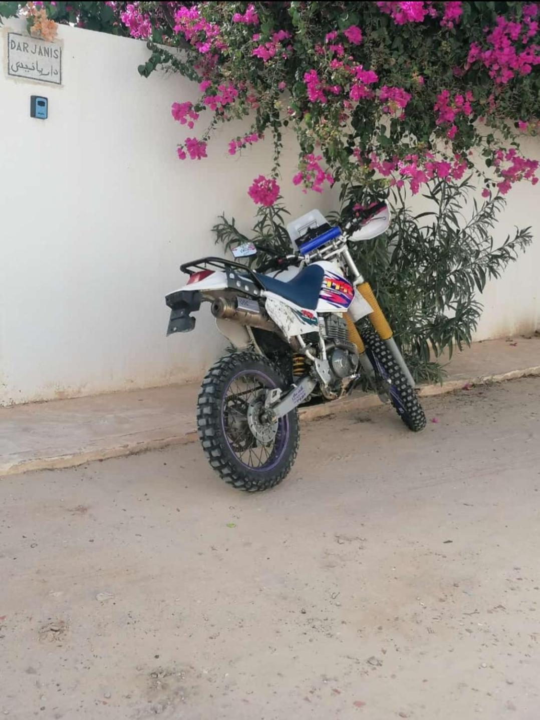Appartement Dar Janis Djerba دار يانيس جربة à Houmt Souk  Extérieur photo